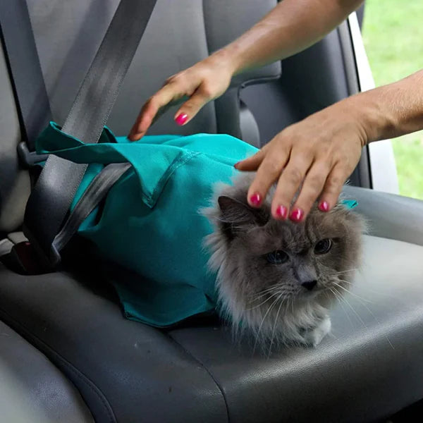 On-the-Go Pet Travel Bag