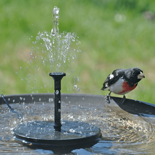 Radiant Oasis Water Fountain